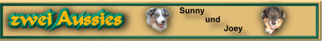 Private Homepage zweier Australian Shepherd mit Geschichten und Fotos